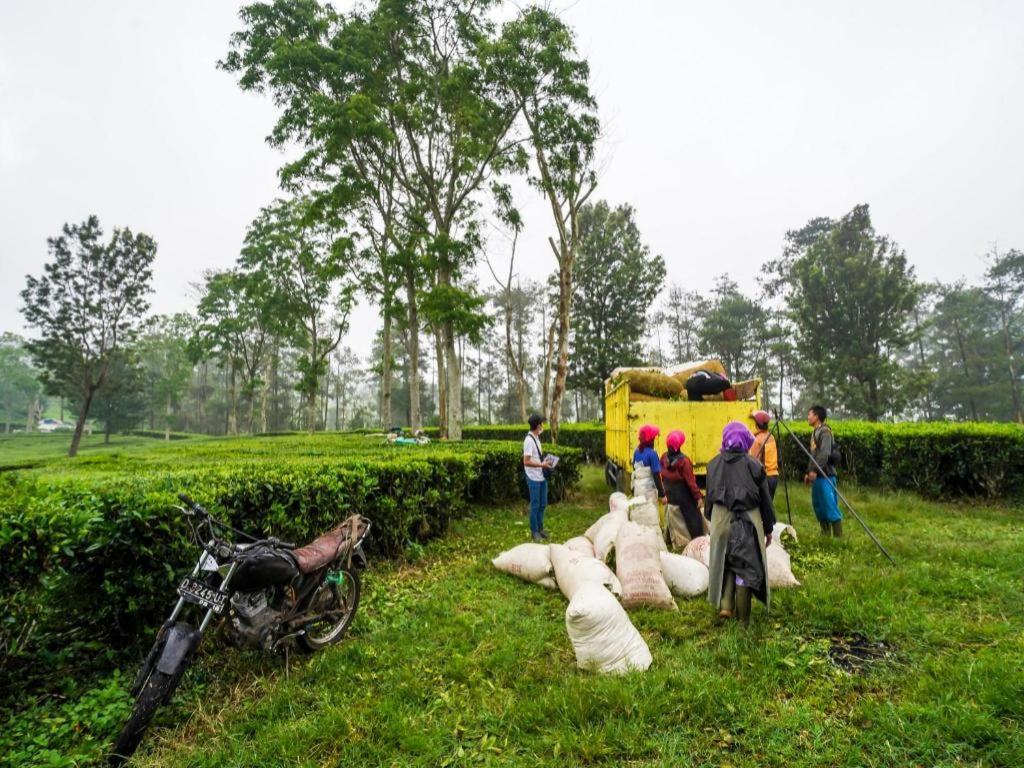Oyo Homes 90915 Eco Tourism Desa Cihanjuang Rahayu Ciwangun Indah Camp Villas Bongkar Exterior foto
